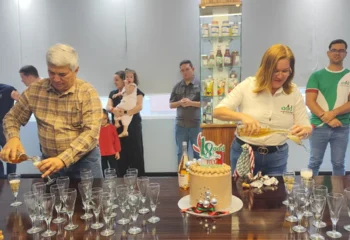 Brindis