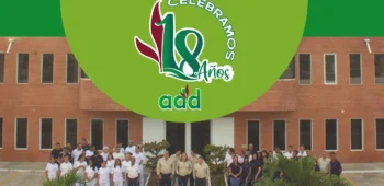 18 Aniversario