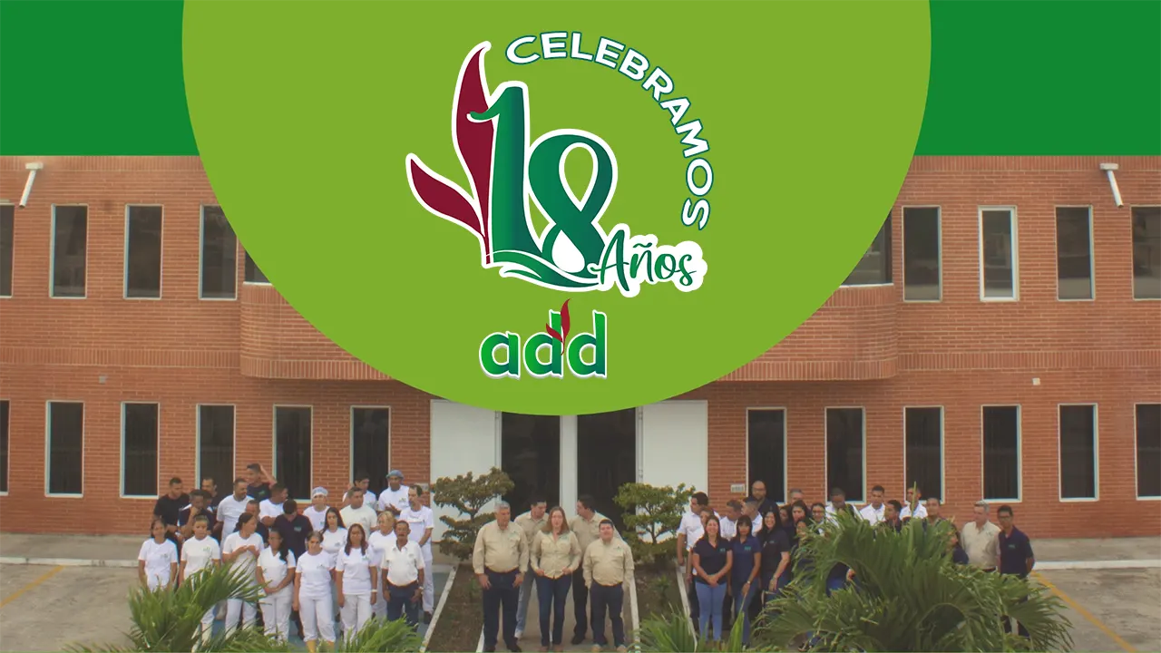 18 Aniversario